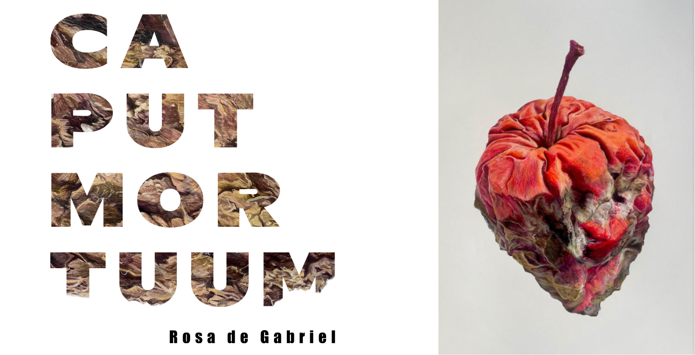 Inauguración Exposición "Caput Mortuum" de Rosa de Gabriel