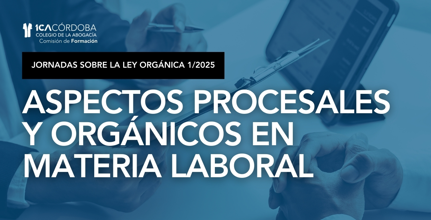 JORNADA LEY ORGÁNICA 1/2025. SESIÓN 2: Aspectos procesales y orgánicos en materia laboral