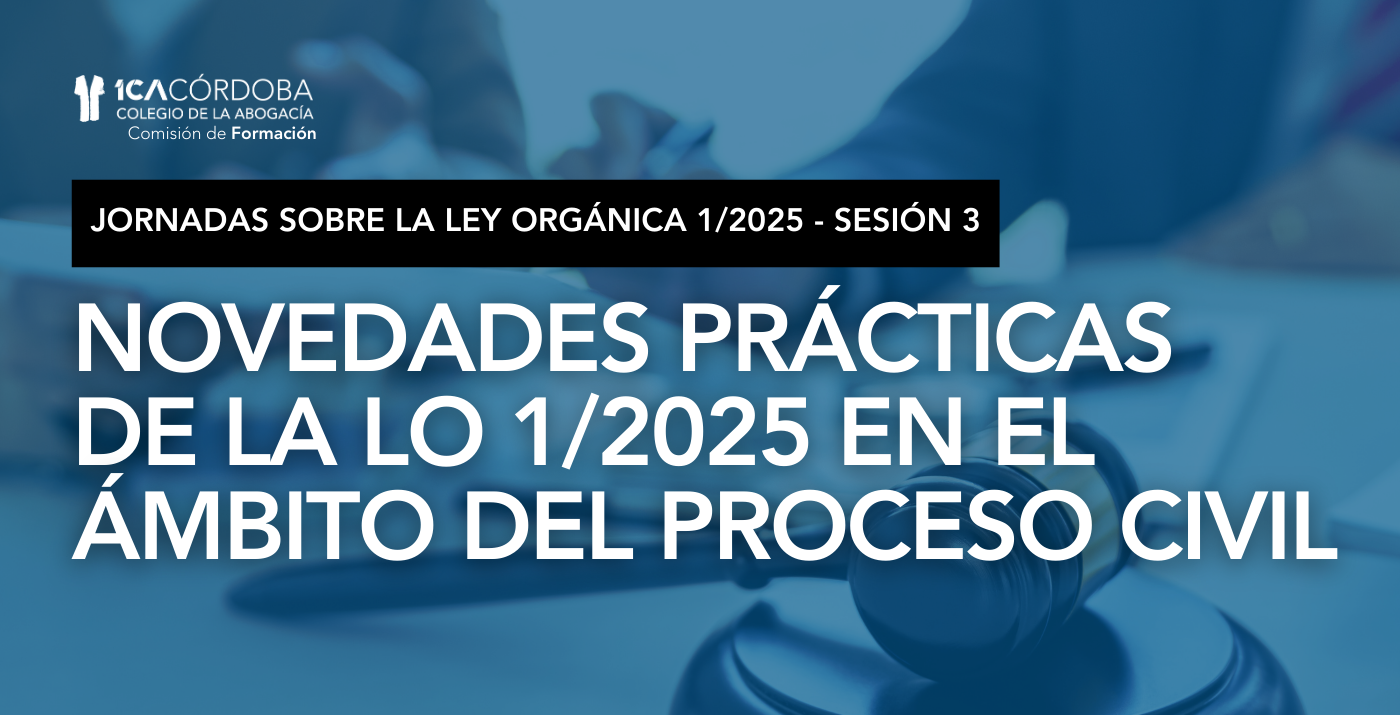 JORNADA LEY ORGÁNICA 1/2025. SESIÓN 3: Novedades prácticas de la Ley en el ámbito del proceso civil